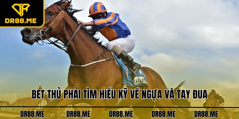 Cá Cược Đua Ngựa DR88 Cùng Các Thông Tin Hấp Dẫn Nhất Bet thủ phải tìm hiểu kỹ về ngựa và tay đua