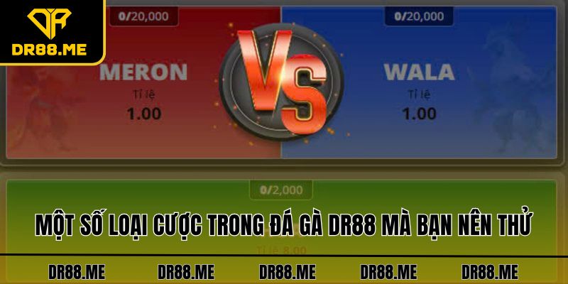 Đá Gà DR88 Một số loại cược trong đá gà DR88 mà bạn nên thử