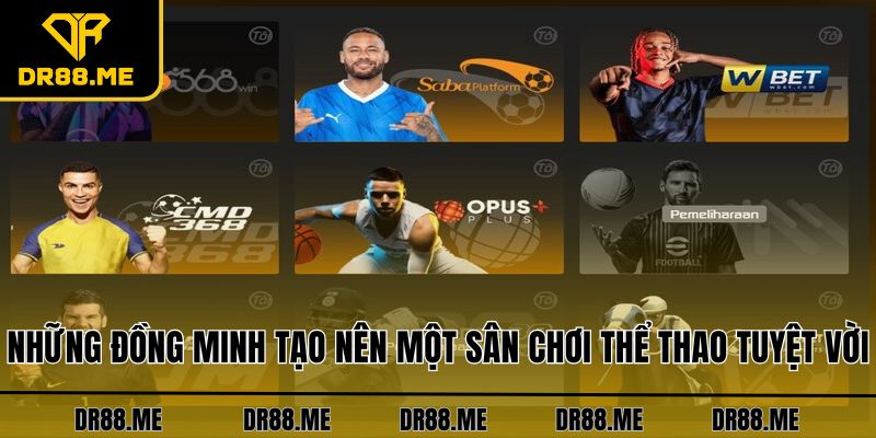 Thể Thao DR88 Những đồng minh tạo nên một sân chơi thể thao tuyệt vời