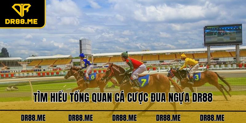 Cá Cược Đua Ngựa DR88 Cùng Các Thông Tin Hấp Dẫn Nhất Tìm hiểu tổng quan cá cược đua ngựa DR88