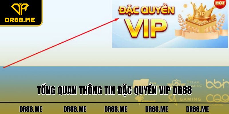 Đặc Quyền Vip DR88 - Khám Phá Các Lợi Ích Đặc Biệt Tổng quan thông tin đặc quyền VIP DR88