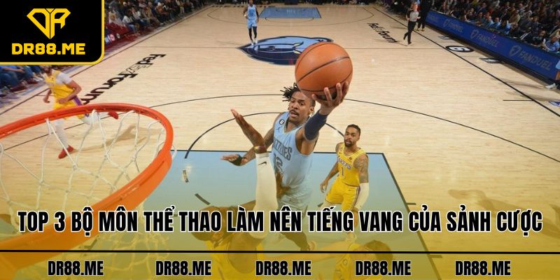 Thể Thao DR88 Top 3 bộ môn thể thao làm nên tiếng vang của sảnh cược
